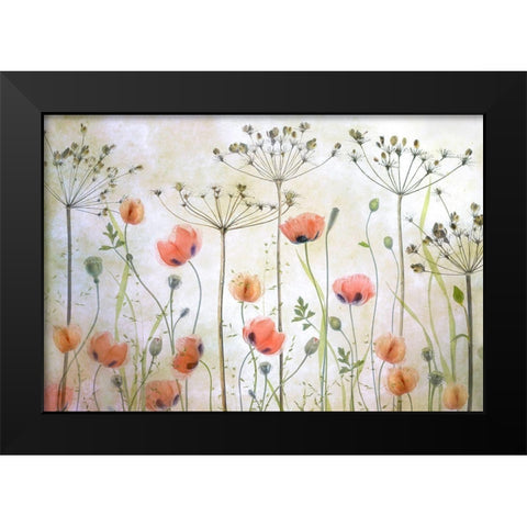 Poppy Meadow Black Modern Wood Framed Art Print by Disher, Mandy