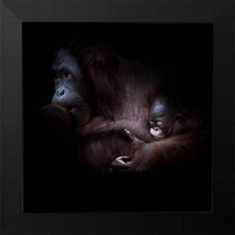 ... Sleep Black Modern Wood Framed Art Print by Vollrath, Jorg