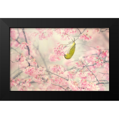 Cherry-Blossom Color Black Modern Wood Framed Art Print by Suzuki, Takashi