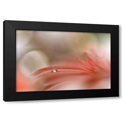 Light Touch.. Black Modern Wood Framed Art Print by Nan, Juliana