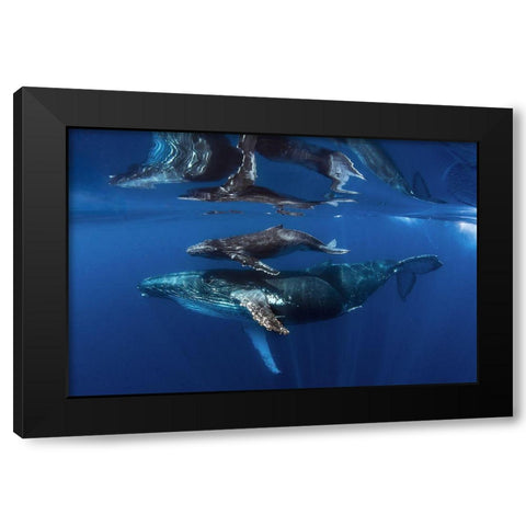 Reflections Black Modern Wood Framed Art Print by Peneau, Cedric