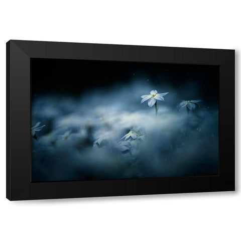 Spring Glow Black Modern Wood Framed Art Print with Double Matting by Suzuki, Takashi