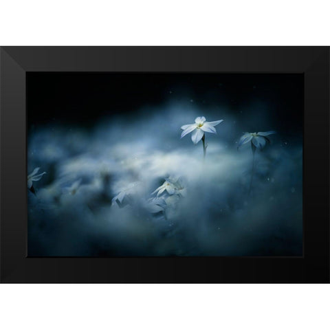 Spring Glow Black Modern Wood Framed Art Print by Suzuki, Takashi