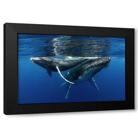 Mother And Son Black Modern Wood Framed Art Print by Peneau, Cedric