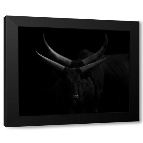 Real Lines Dreaming With Curves Black Modern Wood Framed Art Print by Nunez Buj, Rodrigo