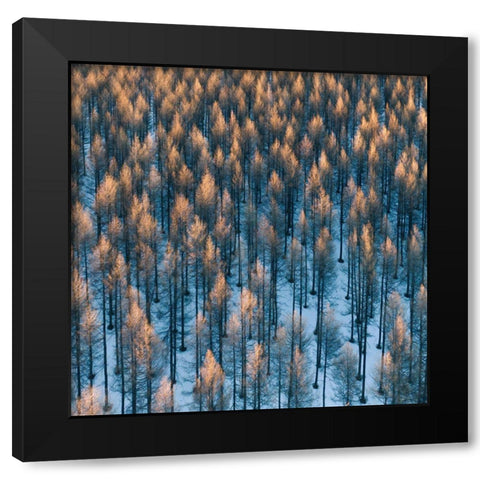 Fire Black Modern Wood Framed Art Print by Z, Bingo