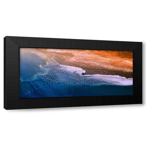 Happy Flight Black Modern Wood Framed Art Print by Chang, Phillip