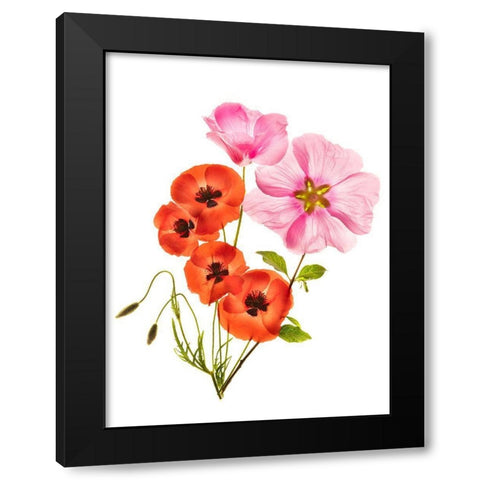 Flower Composition Iii Black Modern Wood Framed Art Print with Double Matting by Yakubovitch, Azriel