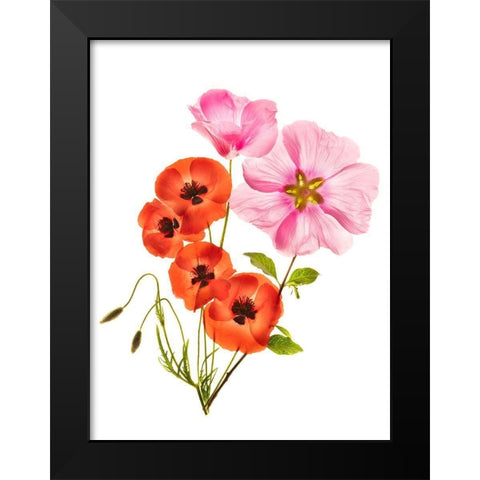 Flower Composition Iii Black Modern Wood Framed Art Print by Yakubovitch, Azriel