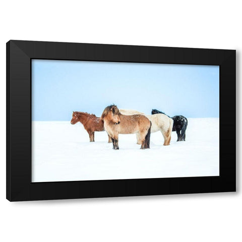 Horses In Color Black Modern Wood Framed Art Print with Double Matting by Faris