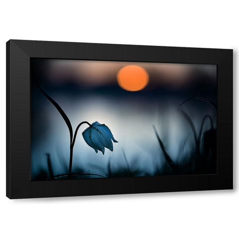 Q Rising Sun...Q Black Modern Wood Framed Art Print by Mijer, Wil