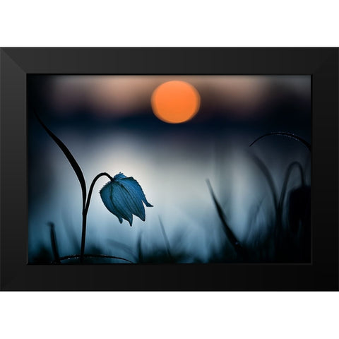 Q Rising Sun...Q Black Modern Wood Framed Art Print by Mijer, Wil