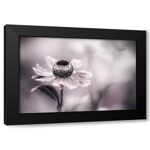 Helenium Black Modern Wood Framed Art Print by Disher, Mandy
