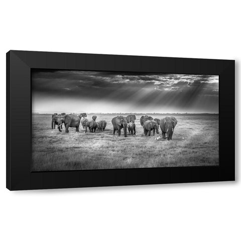 Breakfast With Pachyderms Black Modern Wood Framed Art Print with Double Matting by C. Sink, Jeffrey