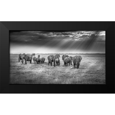 Breakfast With Pachyderms Black Modern Wood Framed Art Print by C. Sink, Jeffrey