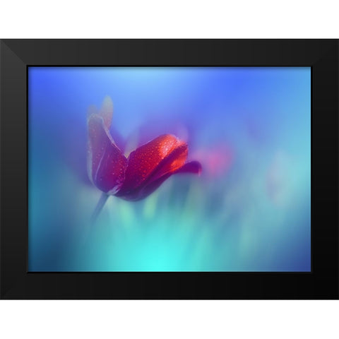 Springtime.. Black Modern Wood Framed Art Print by Nan, Juliana