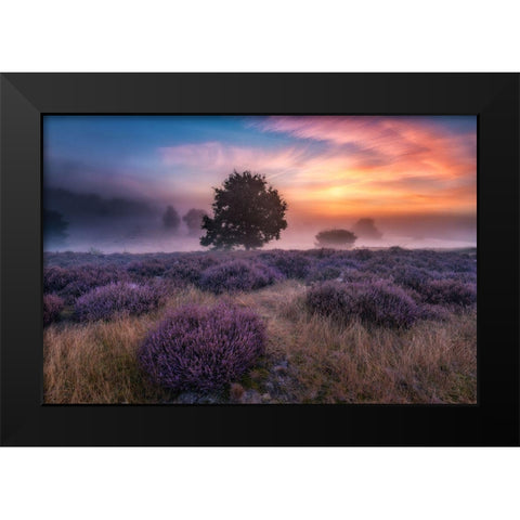 Qautumn Longingq Black Modern Wood Framed Art Print by Pachula, Adam