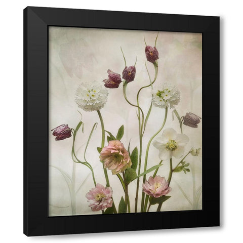 Spring Garden Black Modern Wood Framed Art Print by Williams, Sharon
