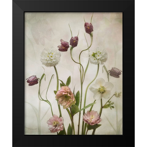 Spring Garden Black Modern Wood Framed Art Print by Williams, Sharon