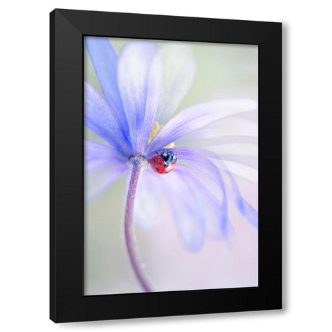 Spring Lady Black Modern Wood Framed Art Print with Double Matting by Parker, Jacky
