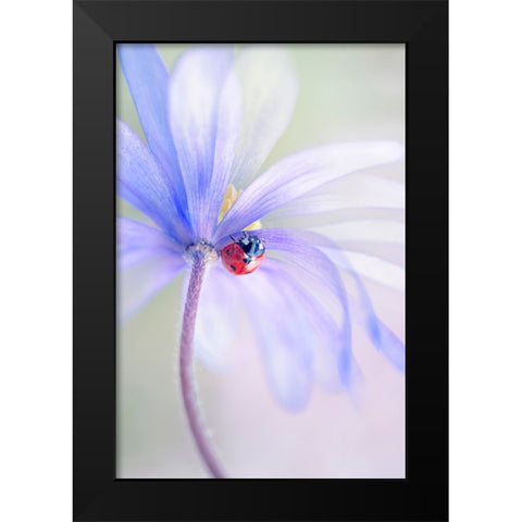 Spring Lady Black Modern Wood Framed Art Print by Parker, Jacky