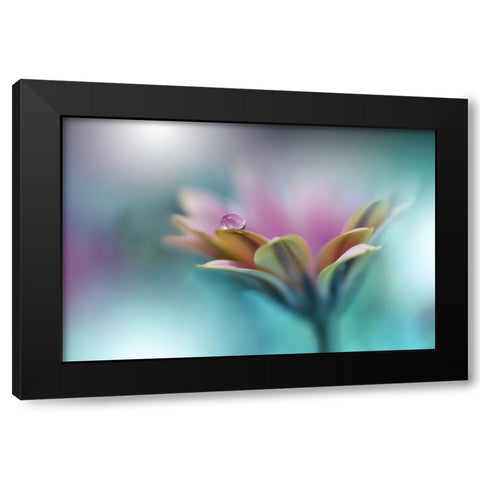 Memories Of Sea.. Black Modern Wood Framed Art Print by Nan, Juliana