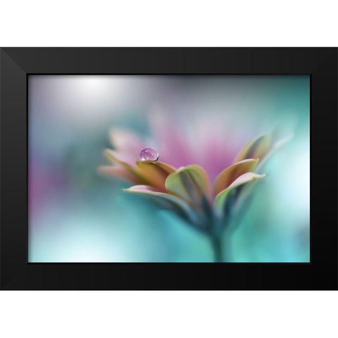 Memories Of Sea.. Black Modern Wood Framed Art Print by Nan, Juliana