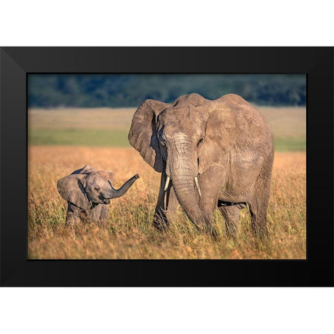 Mom Elephant With Calf Black Modern Wood Framed Art Print by Ortega, Xavier
