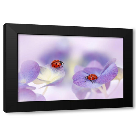 Red And Purple Black Modern Wood Framed Art Print by Van Deelen, Ellen