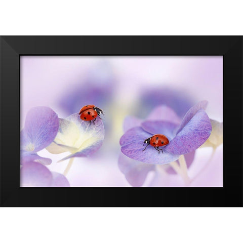 Red And Purple Black Modern Wood Framed Art Print by Van Deelen, Ellen