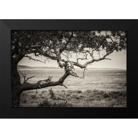 Queen Black Modern Wood Framed Art Print by Alnaser, Mohammed