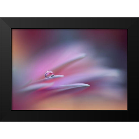 Sound Of Colors.. Black Modern Wood Framed Art Print by Nan, Juliana