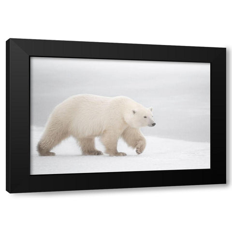 White Black Modern Wood Framed Art Print by Pozzi, Marco