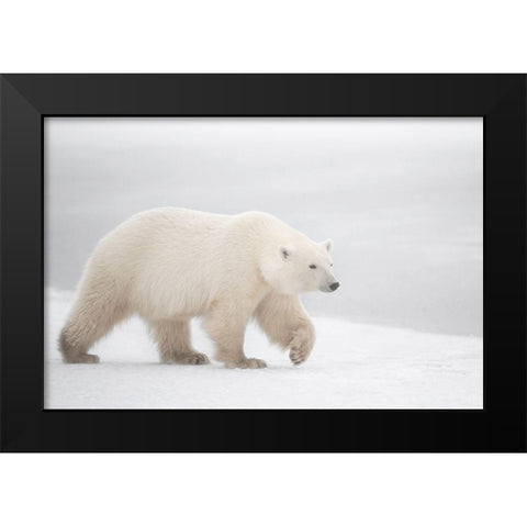 White Black Modern Wood Framed Art Print by Pozzi, Marco