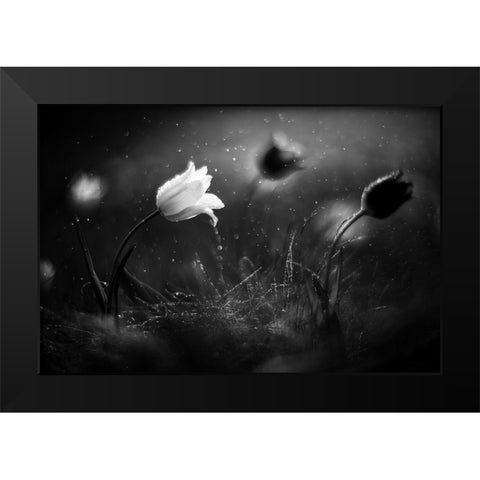 Steppe Flower Black Modern Wood Framed Art Print by Fedotov, Vadim