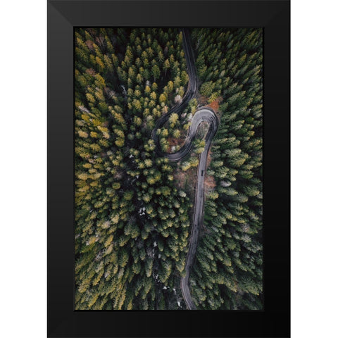 Forest Vibes Black Modern Wood Framed Art Print by Beata, Angyalosi