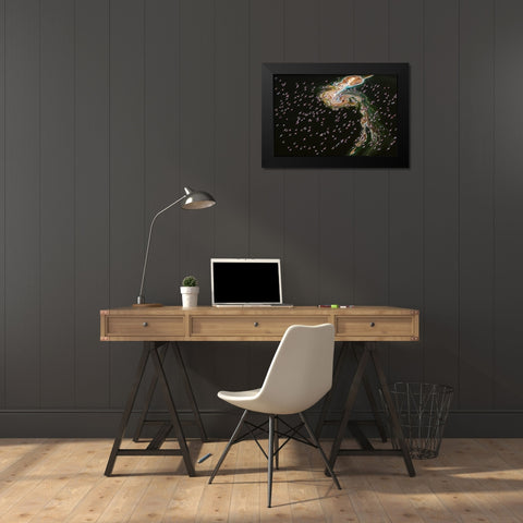 Hundreds Of Flamingos Black Modern Wood Framed Art Print by J. Chen, John