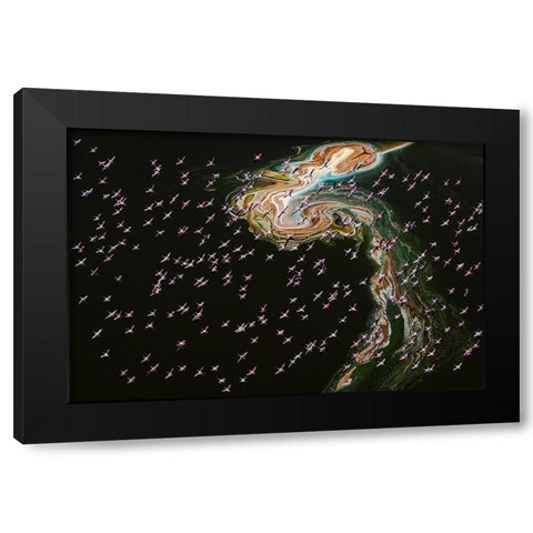 Hundreds Of Flamingos Black Modern Wood Framed Art Print by J. Chen, John