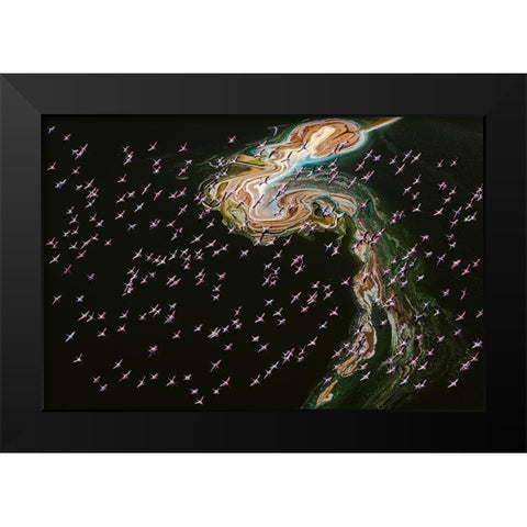 Hundreds Of Flamingos Black Modern Wood Framed Art Print by J. Chen, John