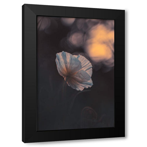 Last Ray Black Modern Wood Framed Art Print by BRAVIN, Fabien
