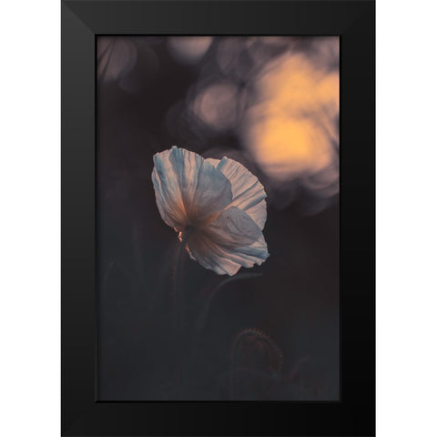 Last Ray Black Modern Wood Framed Art Print by BRAVIN, Fabien