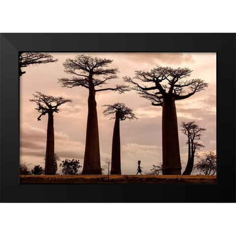 Madagascar Black Modern Wood Framed Art Print by Mirica, Dan