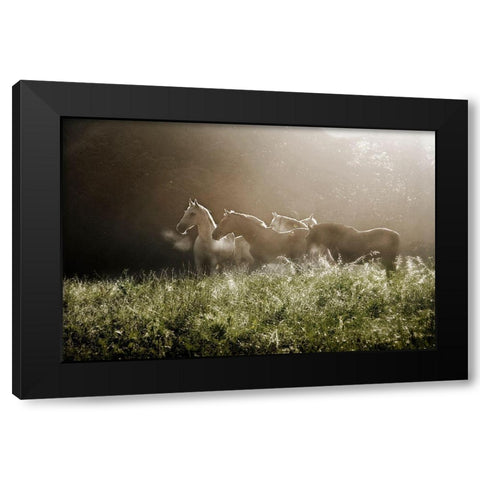 Yesterday Morning Black Modern Wood Framed Art Print by Malovrh, Milan