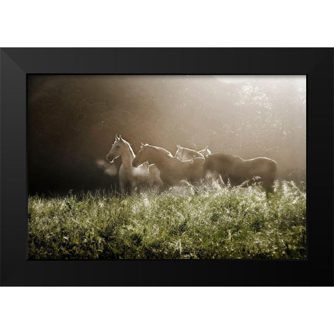 Yesterday Morning Black Modern Wood Framed Art Print by Malovrh, Milan