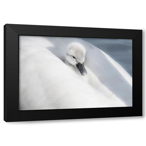 A Dress That Is Too Big Black Modern Wood Framed Art Print by H., Aijing