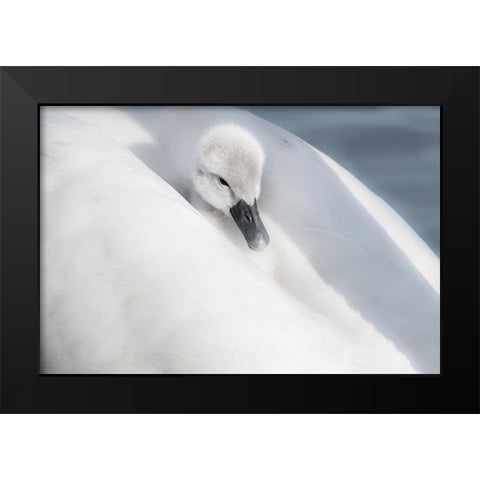 A Dress That Is Too Big Black Modern Wood Framed Art Print by H., Aijing