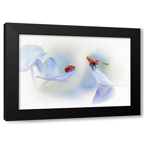 Remember Me.... Black Modern Wood Framed Art Print with Double Matting by Van Deelen, Ellen