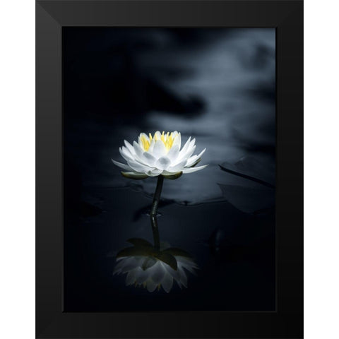 Reflection Black Modern Wood Framed Art Print by Suzuki, Takashi