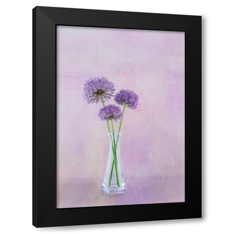 3 Allium Black Modern Wood Framed Art Print with Double Matting by Gray, Gaille