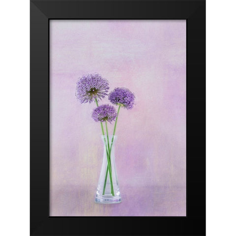 3 Allium Black Modern Wood Framed Art Print by Gray, Gaille